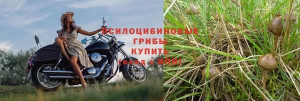 прущая мука Лиски