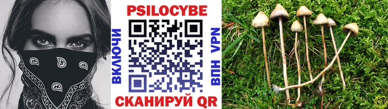 Псилоцибиновые грибы прущие грибы цена Мыски