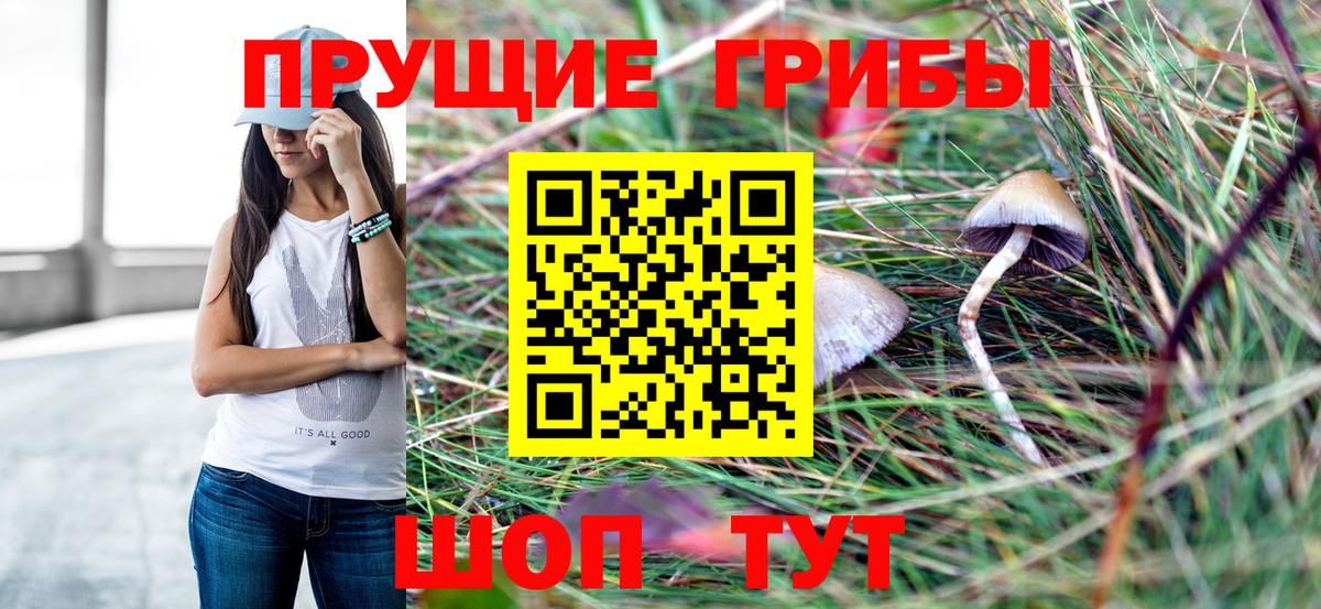 Галлюциногенные грибы ЛСД  Мыски  Псилоцибиновые грибы прущие грибы 